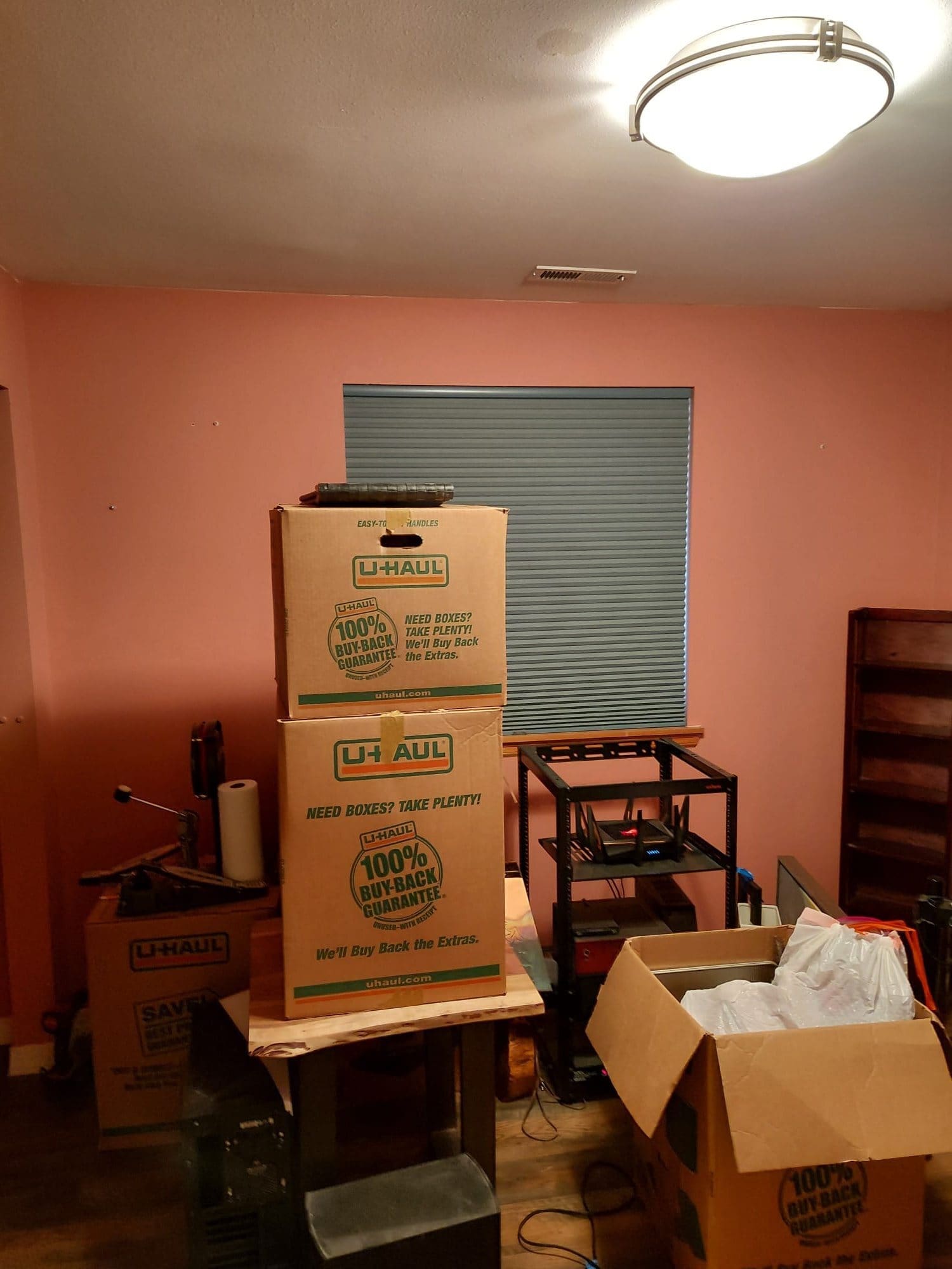 Every Afternoon Her Office Became a Greenhouse